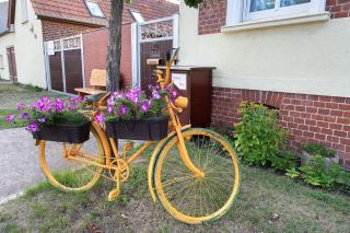 Ferienwohnung - Neu Dessau -  - 0