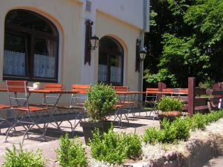 Hotel Sternen - Lenzkirch - 5
