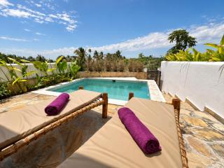 Ocean View Casa Sofia - Private Pool - ZanzibarHouses - 1