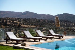Villa Strelitsia in Pitsidia by South Cretan Villas - 1