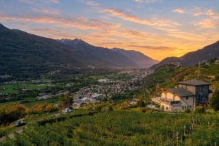 Tra Vigne e Vette in Valtellina - 9