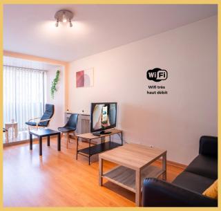 Le Léman Loft I T2 I Annemasse - 7