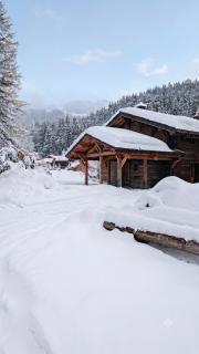 Hauts forts Prodains Avoriaz - Mountain Voyages - 5