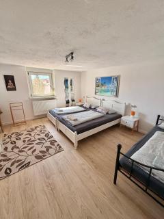 HomeStay Schwarzwald nähe Europapark - 9
