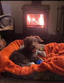 18th Century Holiday Cottage & Dog friendly - 4
