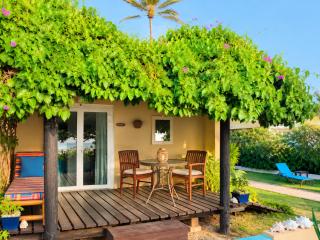 Aruba Sunset Beach Studios - 1