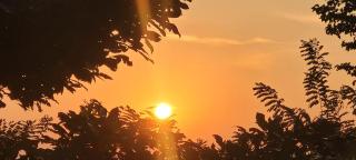 Parudeesa home stay peechi - 1