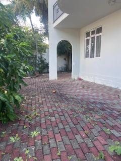 Pereybere Palm - 7