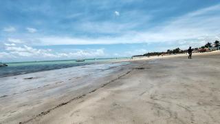 Maragogi 300m da praia psicina e energia inclusa - 3