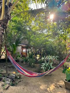 The Travel Tree Hostel - 1