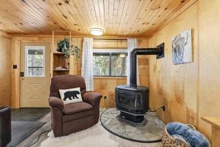 Cozy Bear Cabin-River-AC-Swing - 2