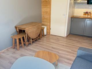 Appartement cosy 2 pièces au pied des pistes avec balcon - FR-1-557-26 - 3