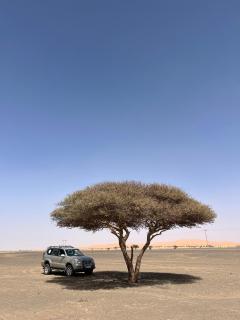 Sahara Waves Luxury Camp - 1