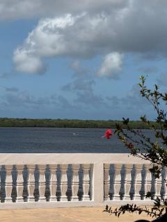 Stop over guest house Lamu town - 9