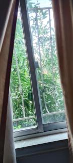 Beit jihad suites - Amman - 5