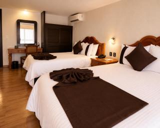 Hotel Vila Aguascalientes - 4