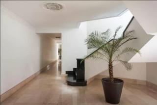 Condesa Residence Campeche 11 Exceptional 2BR, 1BA Apartment with Grand Living Space - 2