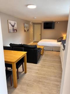 Muckross Mountain View Apartment in Killarney - 2