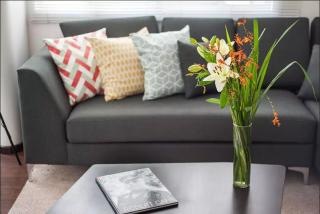 Condesa Residence Campeche 4 2B, 1 Bath Retreat Featuring Generous Spaces - 8