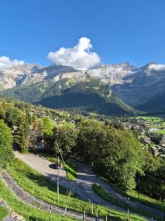 Les Fleurettes - Les Diablerets - 5