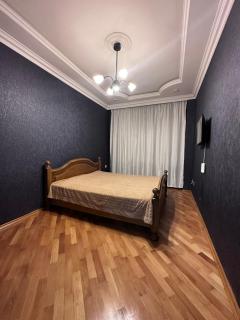 Baku F1 Racing Apartment - 5
