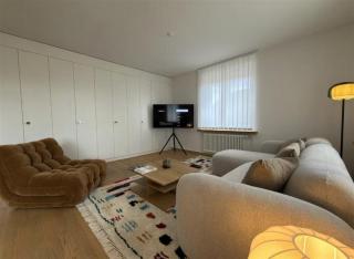 Elegant Swiss Apartment in Zug - 4