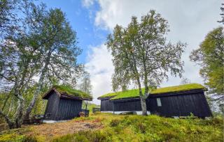 3 Bedroom Amazing Home In Tjørhom - 2