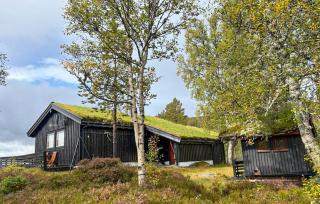 3 Bedroom Amazing Home In Tjørhom - 1