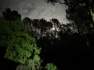 Yaseen holiday resort murree - 4