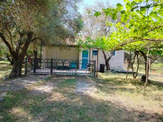 Sabina Olive bungalow - 0
