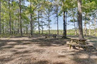 Quiet Extended Stay Near Rivanna River - 7