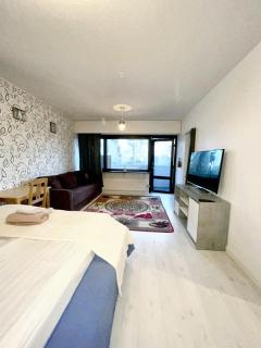 Charming studio in Helsinki 42 m² with pool view - 8