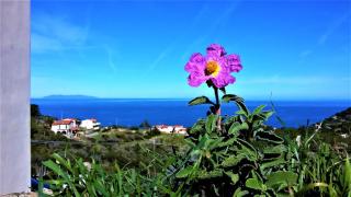 Appartamento Nature Il Colle - Marciana - 9