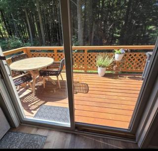 Pine & Sea Cottage- Lincolnville, ME - 4