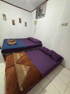 Bunaken Coral Homestay - 7