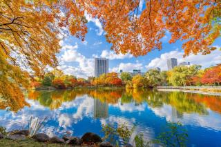Premier Hotel Nakajima Park Sapporo - 9
