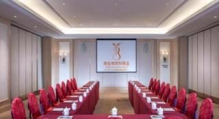 Vienna International Hotel Chengdu New International Conference and Exhibition Center Branch - 1