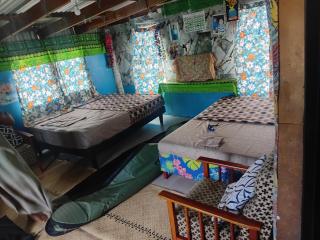 Stee's surf fiji tours - 7