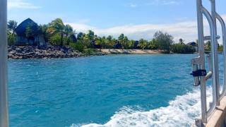 Stee's surf fiji tours - 6