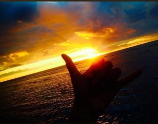 Stee's surf fiji tours - 5