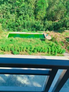 Forest Birdjoy Homestay - 7