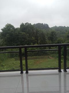 Forest Birdjoy Homestay - 3