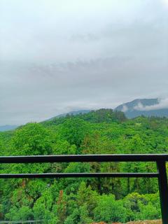 Forest Birdjoy Homestay - 2