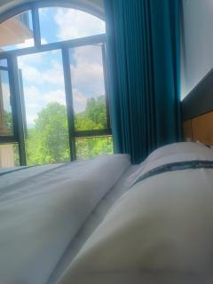 Forest Birdjoy Homestay - 1
