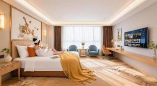 Vienna Hotel Guangdong Foshan West Station Airport Luocun - 9