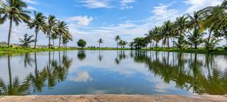 The Village Retreat,Puri - 3