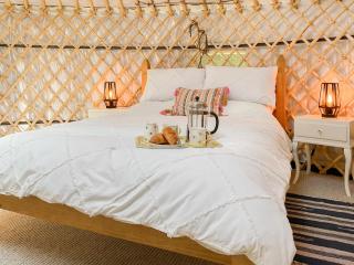 The Yurt - 8