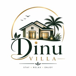 Dinu Villa - 9