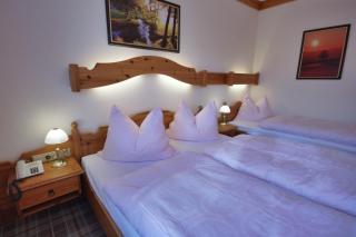 Appartementhaus Sonne - Ramsau am Dachstein - 1