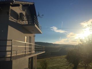 VIP Apartments & Room - Rakovica - 4